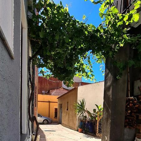 3 Mini Studios In Синискола Екстериор снимка